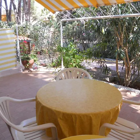 Lilly 22 *